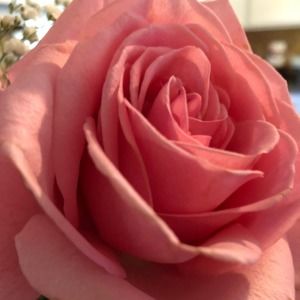 Meet your Posher, Deborah